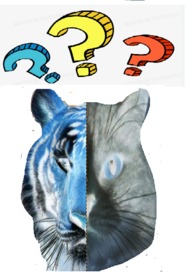 到底谁才是婚姻的受益者